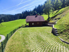 Počitniška hišica Rogatec - Holiday Cottage Rogatec